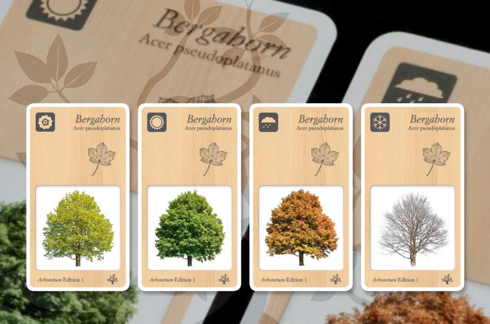 Kartenspiel - Quartett / Memo „ARBORETUM - Bäume im Wandel der Jahreszeiten.“